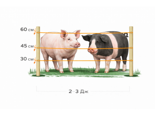 Electric shepherd kits for piglets