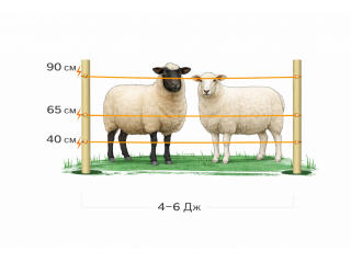 Electric shepherd kits for sheep