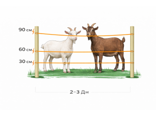 Electric shepherd kits for goats
