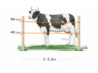Electric cowherd kits