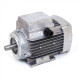 Electric motor for milking machine AID-2 750 W, 1500 rpm.