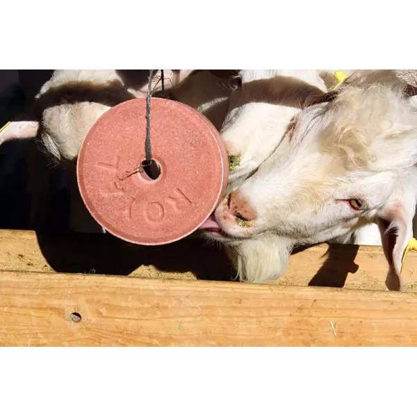 Mineral block-lick "MINERAL BLOCK" ROYAL ILAC for goats and sheep 5 kg