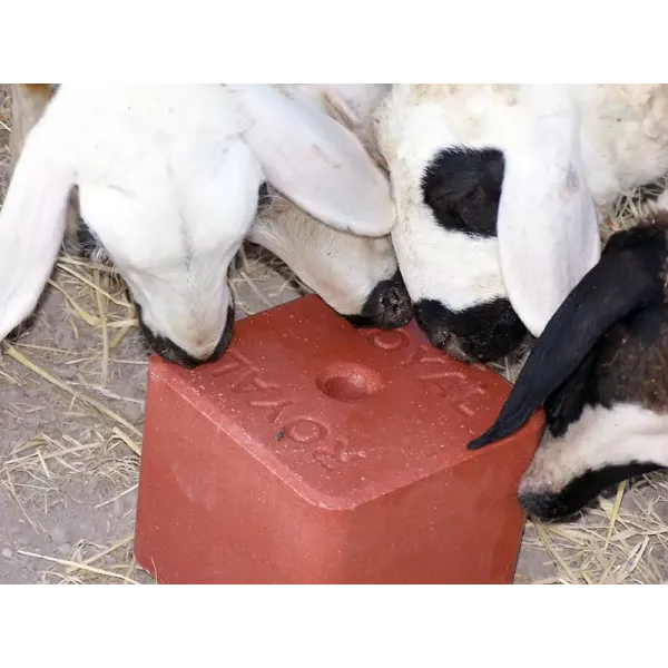 Mineral block-lick "MINERAL BLOCK" ROYAL ILAC for goats and sheep 5 kg