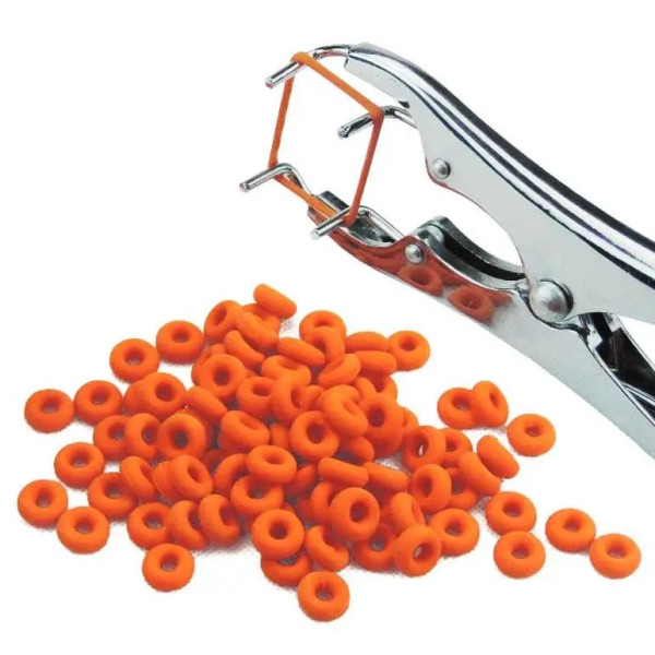 Buy a kit for bloodless castration with rubber rings in Ukraine Buy a kit for bloodless castration with rubber rings in Ukraine