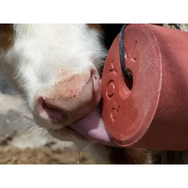 Mineral block-lick "MINERAL BLOCK" ROYAL ILAC for cattle, sheep and goats