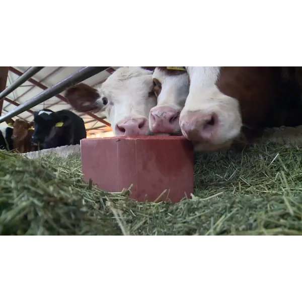 Mineral block-lick "MINERAL BLOCK" ROYAL ILAC for cattle, sheep and goats