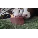 Mineral block-lick "MINERAL BLOCK" ROYAL ILAC for cattle, sheep and goats