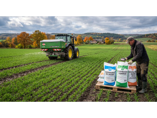 The best fertilizers for winter crops: top solutions for autumn application