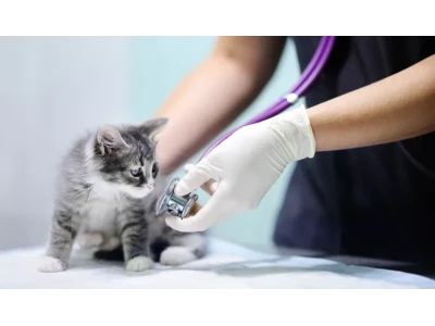 How does CRM help control the quality of services in veterinary practice?