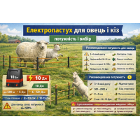 Electric shepherd for sheep Electric shepherd for sheep