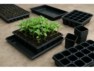 Why is it worth buying seedling cassettes for growing plants?
