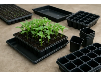 Why is it worth buying seedling cassettes for growing plants?