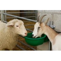 Plastic drinking troughs for sheep and goats: selection and care