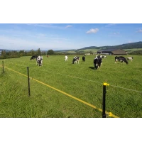 How to Choose and Buy an Electric Fence for Cows: A Complete Guide to Selecting a Kit