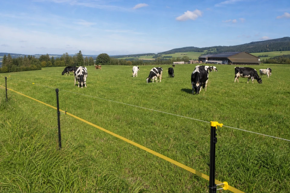 How to Choose and Buy an Electric Fence for Cows: A Complete Guide to Selecting a Kit