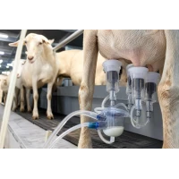Milking Machines for Goats and Sheep: Differences from Cow Systems and Selection Rules