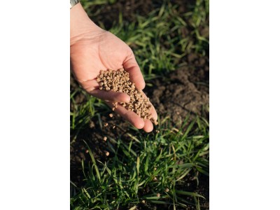 Мінеральні добрива для овочевих культур: як вибрати і коли вносити