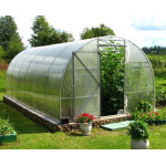 A custom-made greenhouse: why do you need this structure and how to buy it?