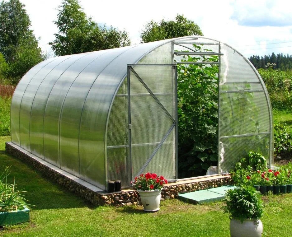 A custom-made greenhouse: why do you need this structure and how to buy it?
