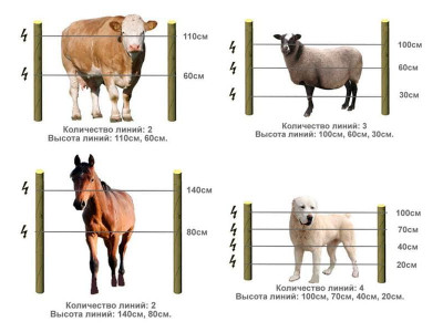 How to Properly Install an Electric Fence for Animals